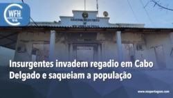Washington Fora d’Horas: Insurgentes invadem regadio em Cabo Delgado e saqueiam a população